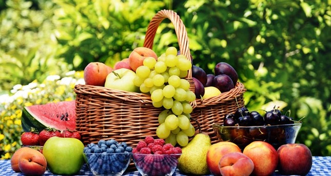 مجالات الاستثمار الزراعي في إسطنبول