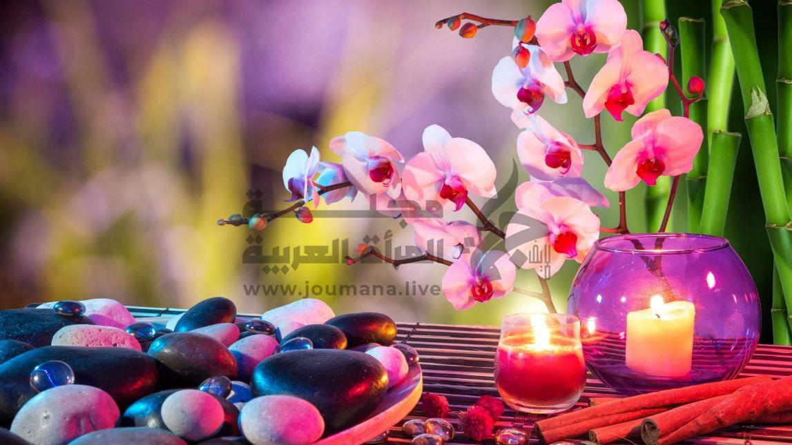 رمز الحيوانات في الطاقة