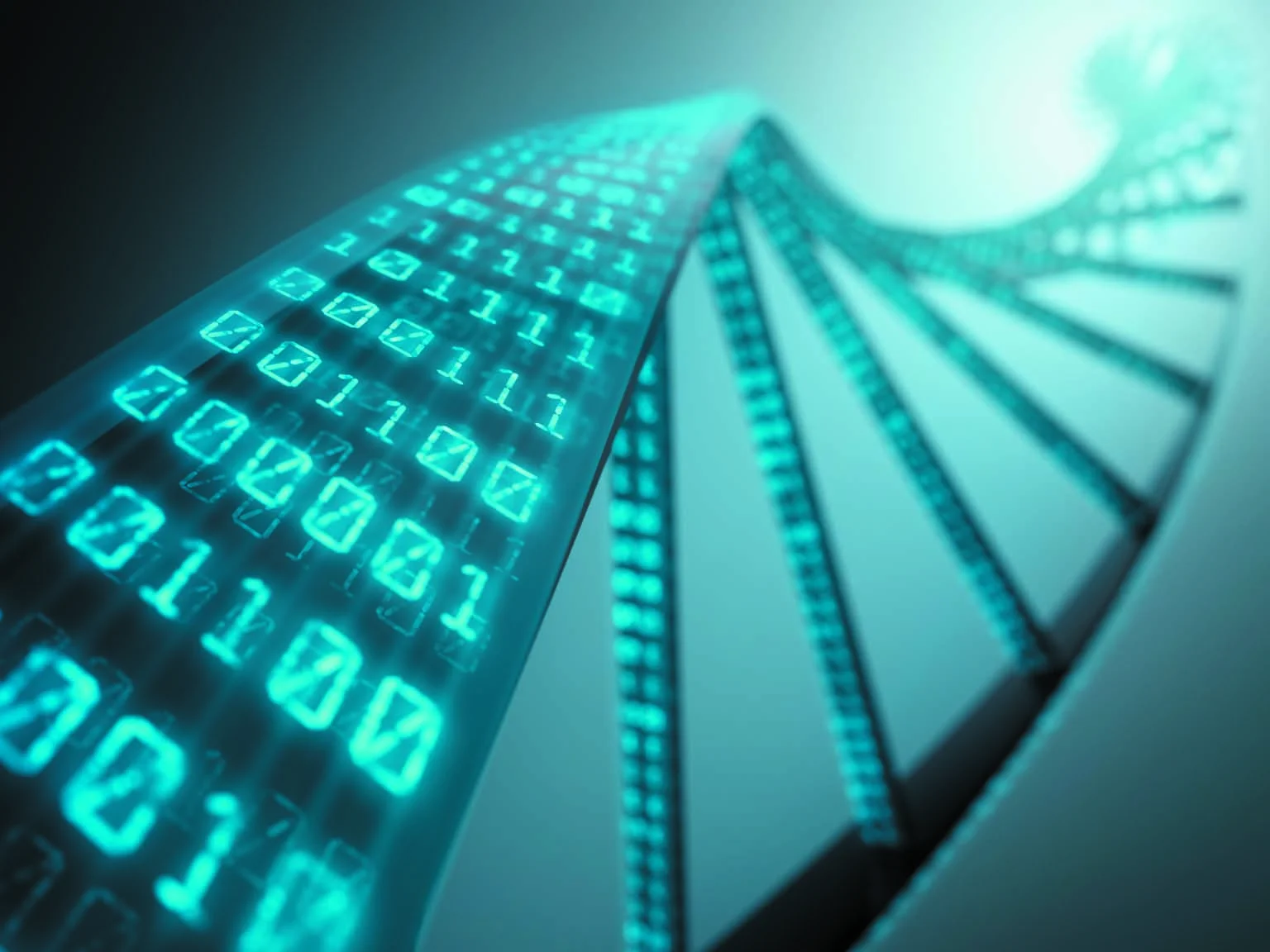 تنشيط ثروة DNA