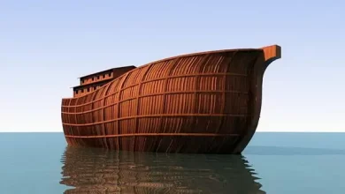 سفينة نوح