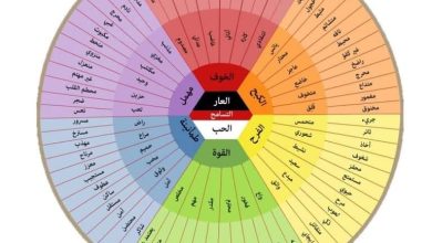 خريطة المشاعر