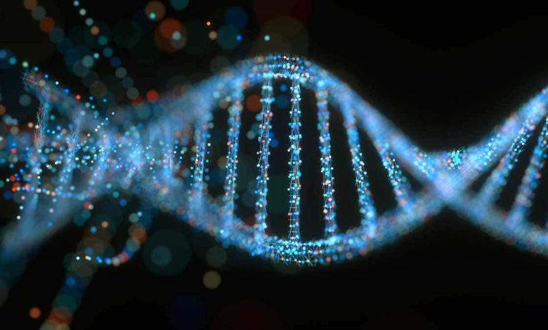 ما الفرق بين DNA في الميتوكندريا وبين DNA في النواة؟