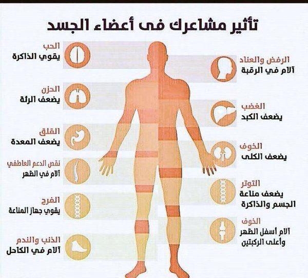 أين تخزن المشاعر السلبية في الجسم ؟