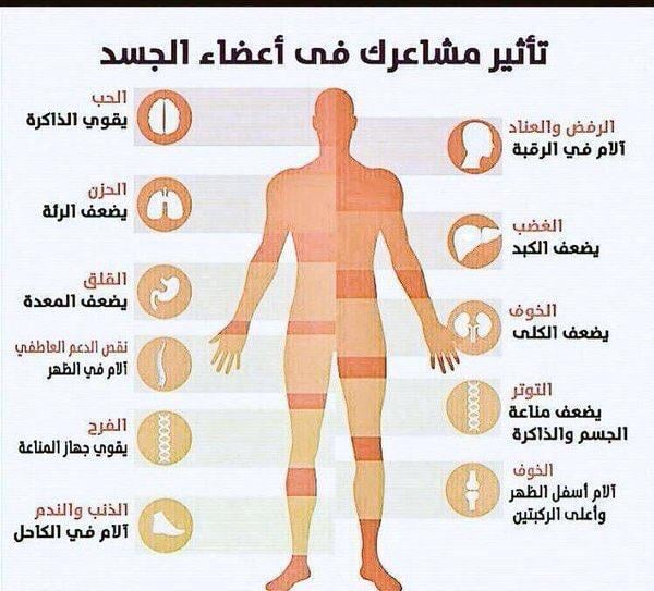  أين تخزن المشاعر السلبية في الجسم ؟