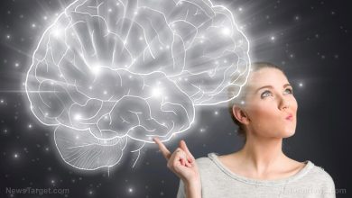 أنواع الذاكرة