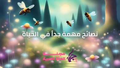 نصائح مهمة جداً في الحياة
