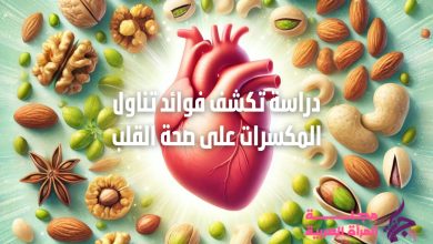 فوائد تناول المكسرات