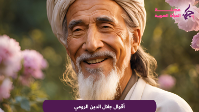 أقوال جلال الدين الرومي