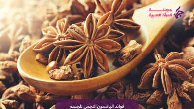 فوائد اليانسون النجمي للجسم