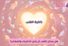 القلب يخزن الذكريات والمشاعر