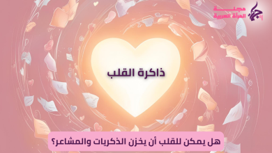 القلب يخزن الذكريات والمشاعر