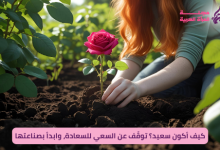 لقطة هادئة ليد شخص عم يزرع وردة أو يلمس عشب أخضر