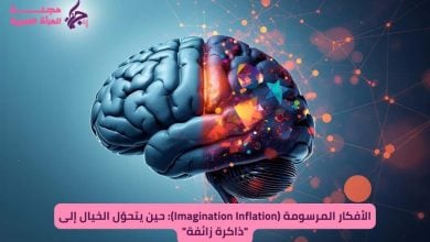 الأفكار المرسومة