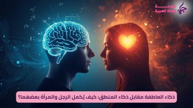 ذكاء العاطفة وذكاء المنطق