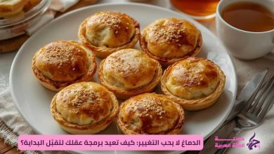 فطائر الدجاج بالكريمة والجبنة