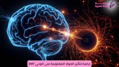 تأثير مركب DMT على نشاط الدماغ — تصوير رمزي لعرض تغيرات الوعي.