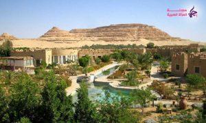 سيوا في مصر